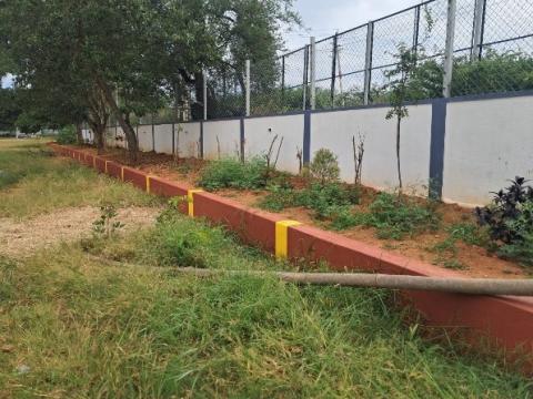Plantation