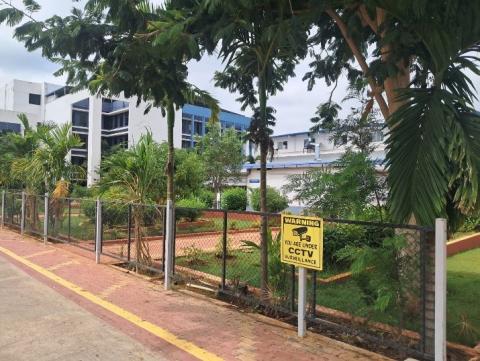 Plantation